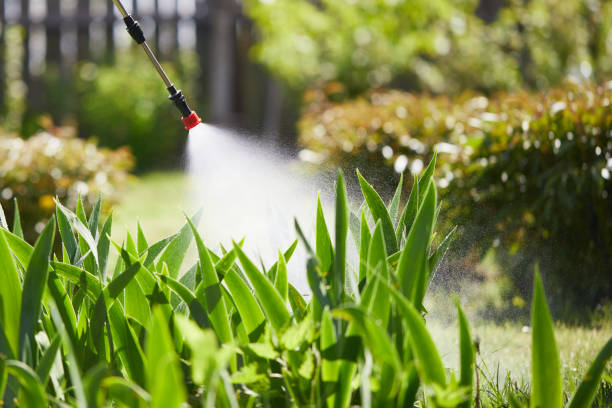 Tamper-Resistant Bait Stations for Rodents in Milledgeville