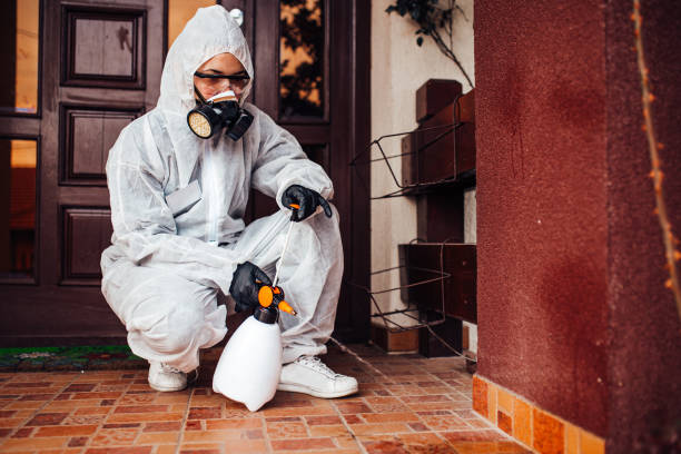 Attic and Crawl Space Rodent Treatment in Milledgeville