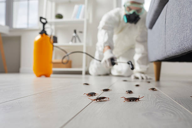 Commercial Rodent Management in Milledgeville